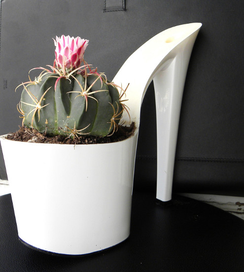 shoe-planter-white